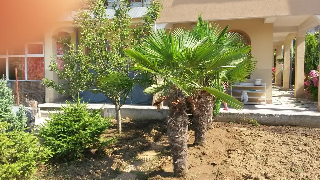 Къща За Гости Кадиеви 普里莫尔斯科 外观 照片